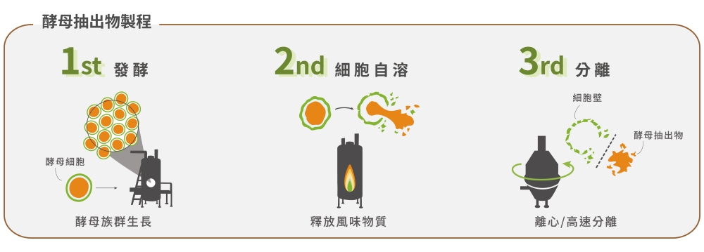 20240531 Biospringer Yeast Extract 02