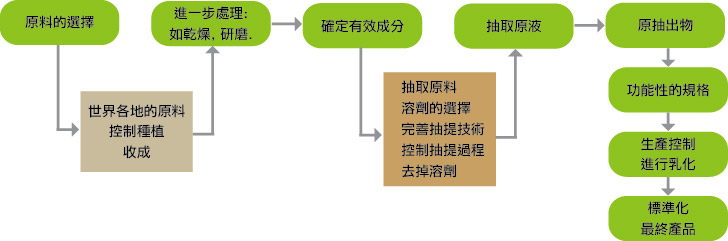 Sensient 生產流程圖